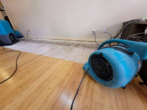 Reliable Crawl Space Water Removal contractor in New Castle, PA by Hirex Water Damage