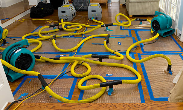 Professional Crawl Space Water Removal technician working in New Castle, PA